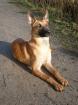 Suche neue familie