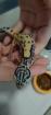 Leopardgecko Weibchen NZ 2022