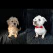 Kuko und Kiarka - lieb unkompliziert