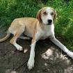 Mo / Status sucht ein Zuhause