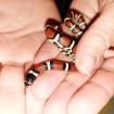 Lampropeltis triangulum syspila