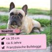 Noemie - total freundlich und sozial freiatmend