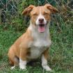 Kurt / Status sucht ein Zuhause