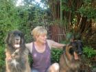 Manuelle Regulationstherapie für Hunde und Katzen