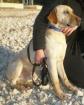 Hope er ist fast blind und ihm droht das staatliche Tierasyl. Dort wird er ste