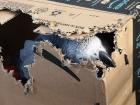 Graupapagei 33 Jahre sucht neues Zuhause