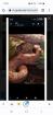 Hog Island Boa 0. 1