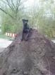 Suche dringend ein neues zuhause