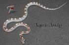 Superangebote des Monats November Kornnatter Pantherophis guttatus