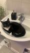Bkh Deckkater sucht nette Dame