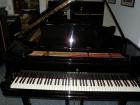 Steinway Sohn