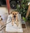 Erna sucht ein passendes Zuhause