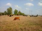 Biogärtnerei Biobauernhof Biofarm Grossfarm Agrarholding