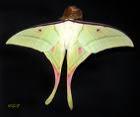 Kennen Sie ACTIAS