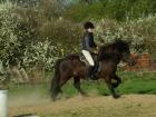 RB in und um 14806 Belzig gesucht