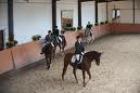 REITBETEILIGUNG IN 66482 zweibrücken gesucht
