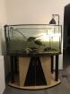 Wasserschildkröten Zubehör abzugeben