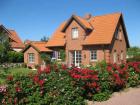 Ostsee-Ferienhaus Ostseetraum mit Kamin Sauna und WLAN in Schönberg-Brasilien