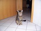 Suche ein neues zu hause