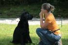 Hundetraining Homöopathie - Andrea Rütten