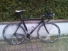 Rennrad rh56 Top