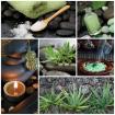 Vertiebspartner Aloe Vera Produkte FLP