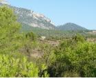 LANDHAUS in Spanien / LORCA