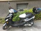 50 CCM Roller super Zustand