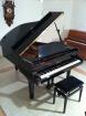 SUCHE FLÜGEL O. KLAVIER / PIANO