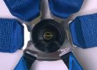 Schroth Profi III 6-Punkt Sicherheitsgurte 75 mm breit zu Verkaufen