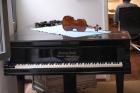 Steinweg Nachfolger 1 80 m Flügel um 1900