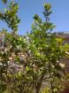 Sanremo Wohnung mit dem Garden
