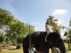 Reiseführung Deutschsprachig auf Sri Lanka