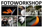 Fotoworkshop und Fotokurse in Essen NRW