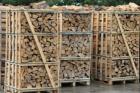 Kaminholz Buche Frisch oder Trocken Kaminfertig gesägt und gespalten Deutschland