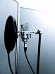 Voice/Vocal Coaching Stimmtraining undGesangsunterricht deutsch/english