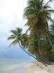 Herbstferien NRW 15 Tage Sri Lanka ab 823 Euro