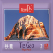 Kaufen Sie 2 x chinesische Phytopflaster Tie Gao 1 Phytopflaster Zhui Feng Gra