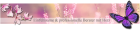 Anjalena berät Neukunden von Sybella. de 15 Minuten lang GRATIS