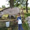 Landurlaub im Gargano Italien