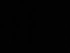 Kellner/in Koch/in Küchenhilfe/Spüle