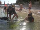 Am Meer in Kroatien Haus mit Garten Pool Grill und Parkplatz