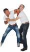 Combat Wing Tsun
