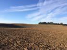 599 31ha Agrarland in Lettland KURLAND zu verkaufen