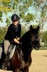 Reitunterricht und Berittpferde - Trainer A -