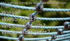 BUNDESWEIT Vertriebspartner gesucht