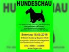 Oberpfälzer - Siegerschau CAC am 18. September 2022