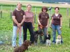 Rund um den Hund Team - Hundeschule - Pflege - Service