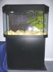 Juwel Aquarium Panorama 80