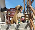 Tina sucht ein passendes Zuhause